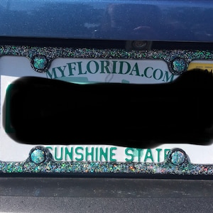 Glitter License Plate holder