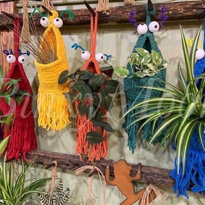 Plant Hangers