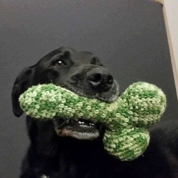 Hundeknauf - Quietschendes Hundespielzeug. Gehkelter Penis fr Hunde.  Kawaii - Etsy.de
