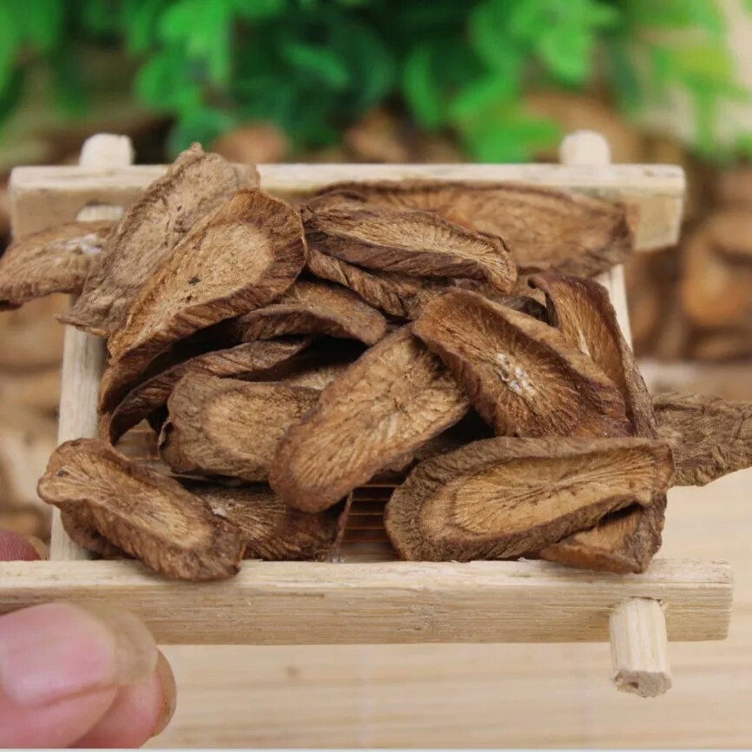 Burdock Root Tea Chinese Burdock Herbal Tea Good Health Care Etsy