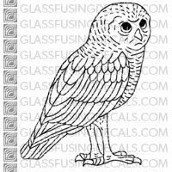 Fancy Owl 3 -  Glass Fusing Decal for Glass, Ceramics, and Enamelling