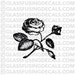 Rose Glass Fusing Decal for Glass or Ceramics
