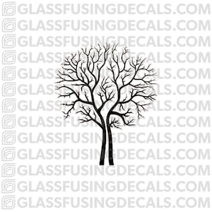 May include: Black and white silhouette of a bare tree with two trunks. The tree has a rounded shape and many branches.