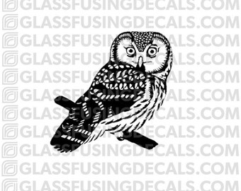 Owl Glass Fusing Decal for Glass or Ceramics