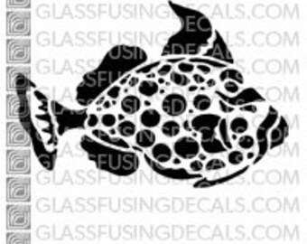 Ocean Life - Clown Trigger Fish - Glass Fusing Decal for Glass, Ceramics, and Enamelling