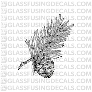 Pine Branch 1 Glass Fusing Decal for Glass or Ceramics