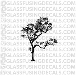 Puede incluir: Silueta de un árbol con un tronco grueso y muchas ramas, aislado sobre un fondo blanco.