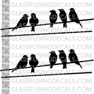 Puede incluir: Silueta de seis pájaros negros posados en un alambre, con el sitio web "glassfusingdecals.com" repetido en el fondo.