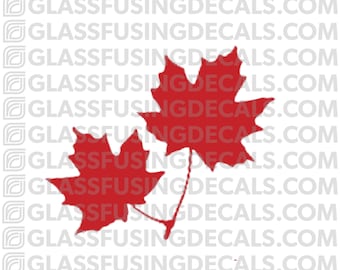 Maple Leaf Pair COLOUR Glass Fusing Decal for Glass, Ceramics, and Enamelling