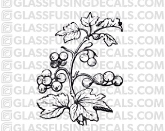 Berry Vine Glass Fusing Decal for Glass or Ceramics