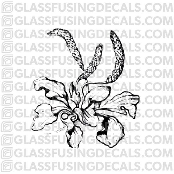 Plantain Glass Fusing Decal for Glass or Ceramics