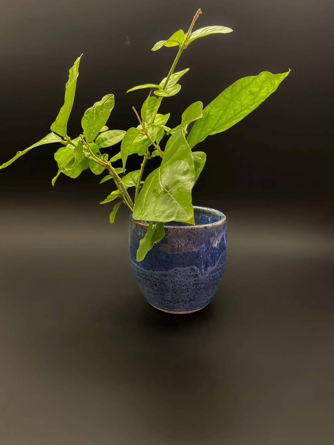 Handmade Stoneware Pottery Vase. Wheel Thrown Midnight Blue Flower Vase ...