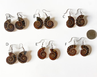 Echte fossieloorbellen van ammoniet. Prehistorische relikwie sieraden. 2-inch natuurlijke fossiel ammonietoorbellen