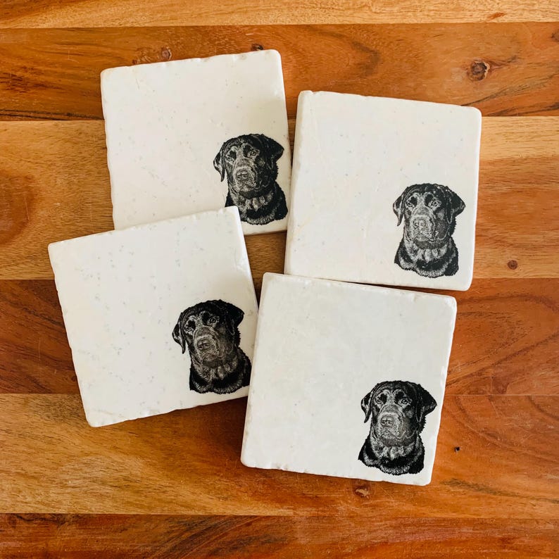 May include: Set of four white square coasters with black and white images of Labrador Retrievers.