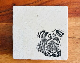 English Bulldog Gifts ~ Bulldog Dog Mom ~ Bulldog Decor ~ Housewarming Gift ~ Bulldog Dad ~ Bulldog Gifts ~ Marble Coasters ~ Handmade Gift