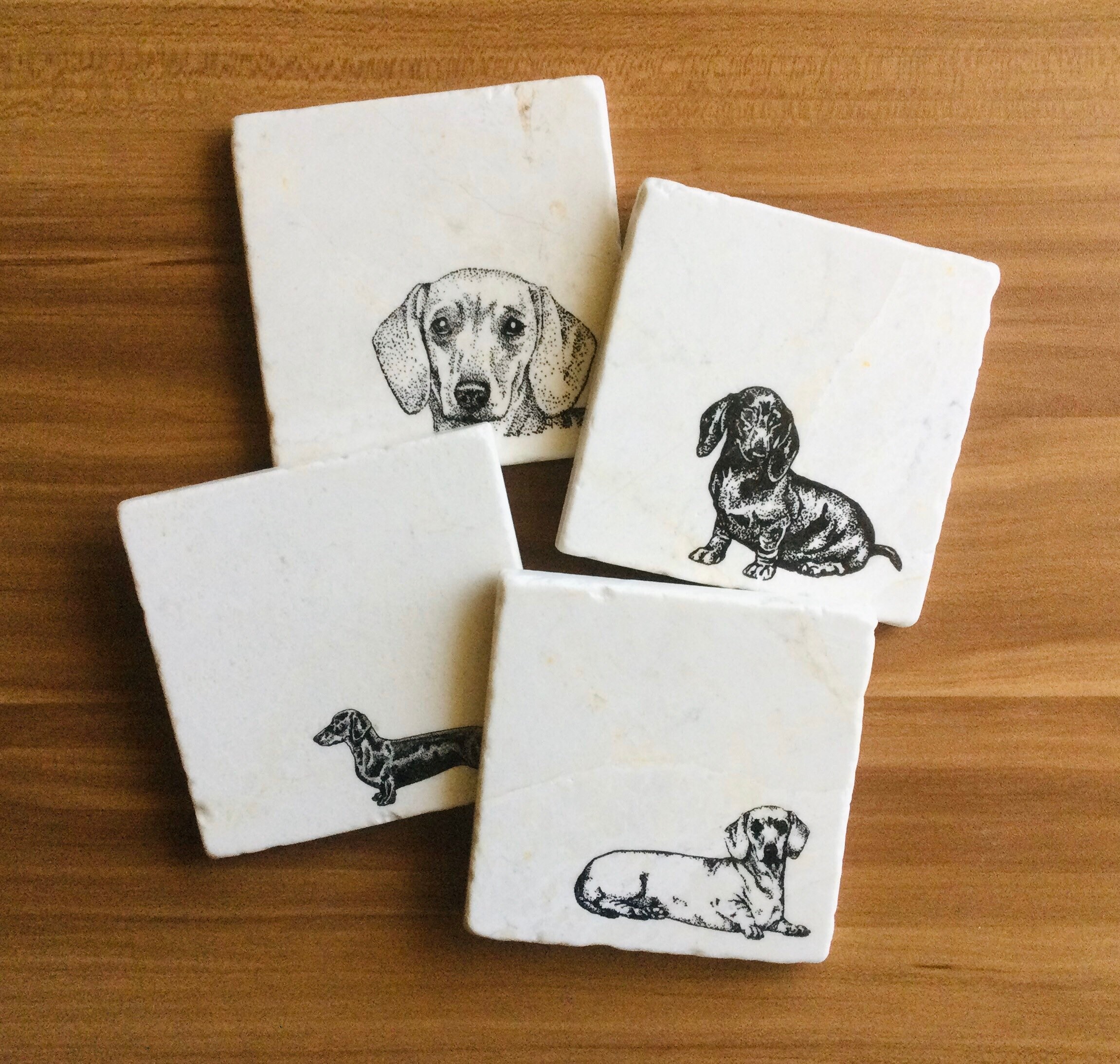 dachshund coasters