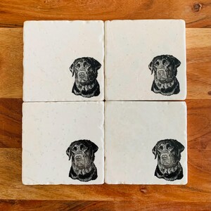May include: Set of four white square coasters with black and white illustrations of Labrador Retrievers. Each coaster features a different Labrador Retriever.