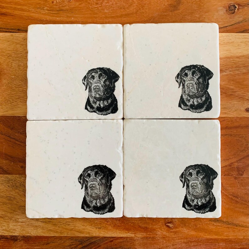 May include: Set of four white square coasters with black and white illustrations of Labrador Retrievers. Each coaster features a different Labrador Retriever.