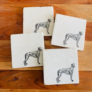Op de afbeelding: Vier vierkante, gebroken witte stenen onderzetters met een zwart-wit illustratie van een hond. De hond is een slank ras, mogelijk een Greyhound of iets dergelijks, in een staande pose. De onderzetters zijn gerangschikt op een houten oppervlak.