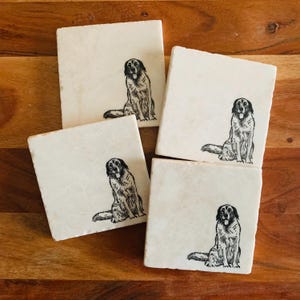 May include: Four square, off-white coasters with a black and white illustration of a dog. The dog is sitting with its tongue out. The coasters are arranged on a wooden surface.
