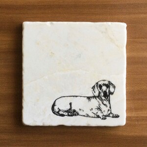 Pu&ograve; includere: Sottobicchiere in marmo bianco con un'illustrazione in bianco e nero di un bassotto sdraiato.
