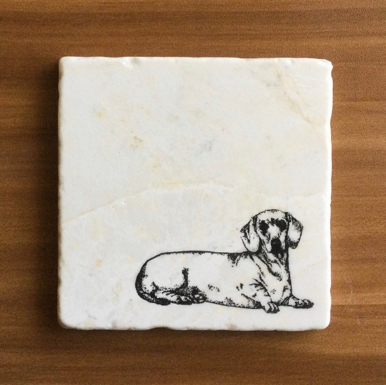 Pu&ograve; includere: Sottobicchiere in marmo bianco con un'illustrazione in bianco e nero di un bassotto sdraiato.