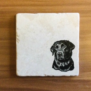 May include: A white square coaster with a black and white illustration of a Labrador Retriever's head.