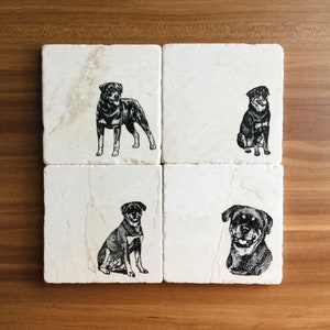 May include: Set of four white marble coasters with black and white illustrations of Rottweilers. Each coaster features a different pose of the dog.
