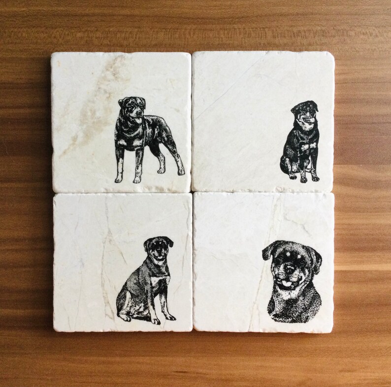 May include: Set of four white marble coasters with black and white illustrations of Rottweilers. Each coaster features a different pose of the dog.