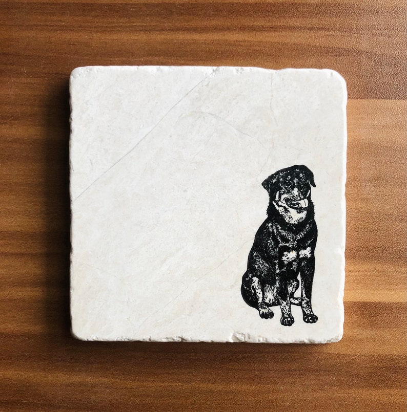 May include: A white square coaster with a black and white illustration of a Rottweiler dog sitting.