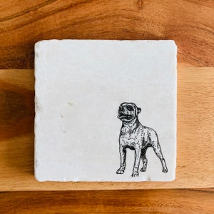 American Bulldog Dog Coasters / Coasters / Dog Coasters / Housewarming Gift / Pet Coasters / Bulldog Gift / Marble Coasters