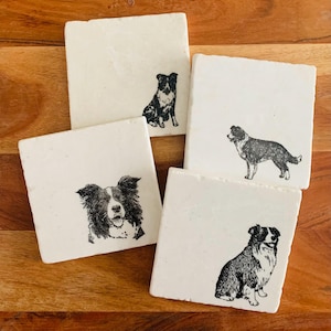 May include: Set of four white square coasters with black and white illustrations of border collies. Each coaster features a different pose of the dog.