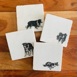 May include: Four white square coasters with black and white illustrations of border collies. Each coaster features a different pose of the dog.