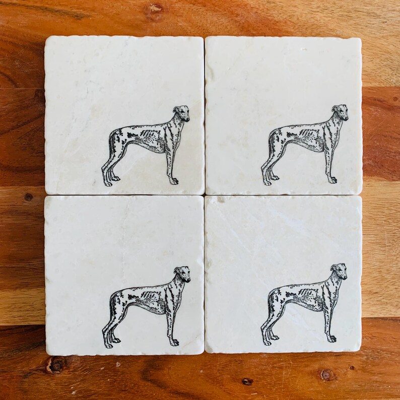 Op de afbeelding: Vier vierkante, gebroken witte marmeren onderzetters. Elke onderzetter heeft een zwart-wit illustratie van een windhond. De onderzetters zijn gerangschikt op een houten oppervlak, wat een natuurlijke, rustieke uitstraling laat zien.