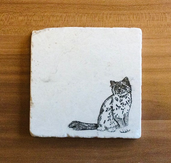 Ragdoll Cat Marble Coasters