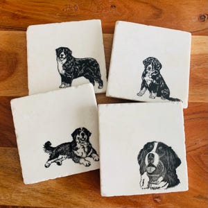 Bernese Mountain Dog Coasters ~ Bernese Mountain Dog Gift ~ Housewarming Gift ~ Bernese Mountain Dog Lover ~ Bernese Mountain Dog Berner Mom
