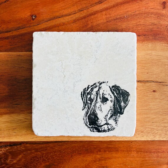 Labrador Retriever Coasters ~ Yellow Lab Gifts ~ Yellow Lab Dog Mom ~ Marble Coasters ~ Labrador Retriever Gift - Gundog ~ Yellow Labs Gift