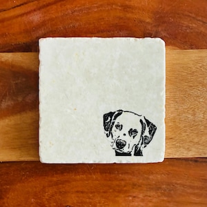 Dalmatian Coasters ~ Gift for Dalmatian Lover  ~ Housewarming Gift ~ Marble Coasters ~ Dalmatian Gift ~ Dog Mom ~ Dalmatian Mom ~ Dalmatians
