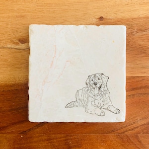 Bernese Mountain Dog Coasters ~ Bernese Mountain Dog Gift  ~ Housewarming Gift ~ Bernese Mountain Dog Lover ~ Dog Coasters ~ Pet Gift