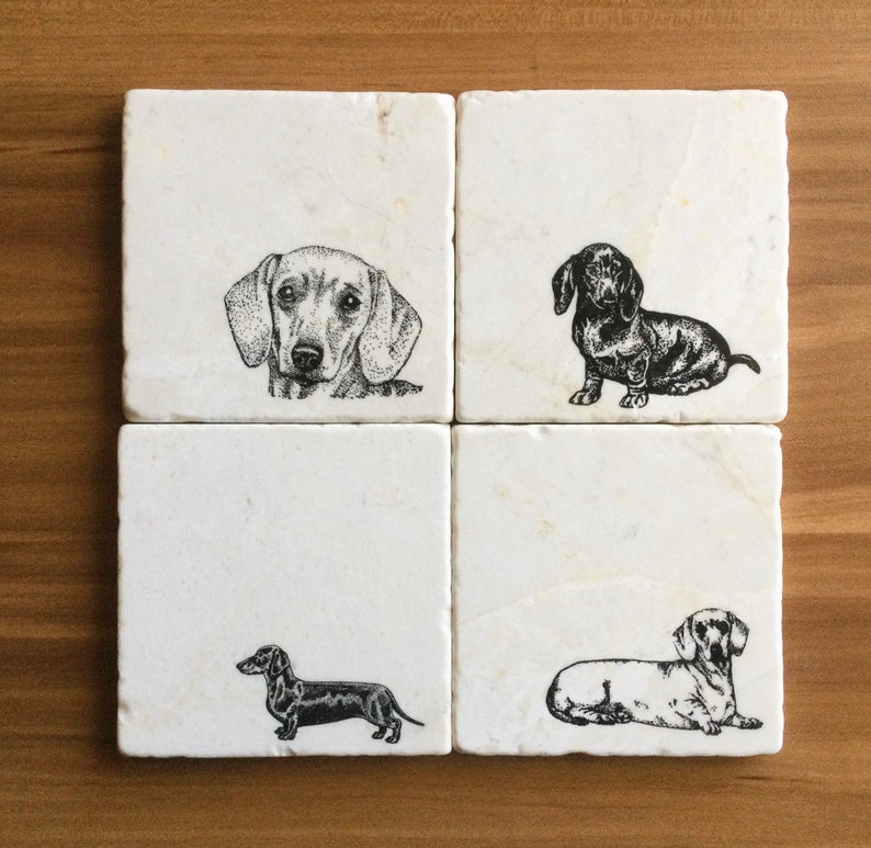 Pu&ograve; includere: Set di quattro sottobicchieri in marmo bianco con illustrazioni in bianco e nero di Dachshund. Ogni sottobicchiere presenta una posa diversa del cane.