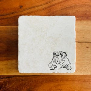English Bulldog Dog Coasters / Coasters / Dog Coasters / Housewarming Gift / Pet Coasters / Bulldog Gift / Marble Coasters