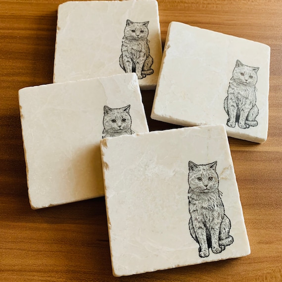 American Shorthair Cat Coasters Cat Gift for Cat Lovers Cat Gift