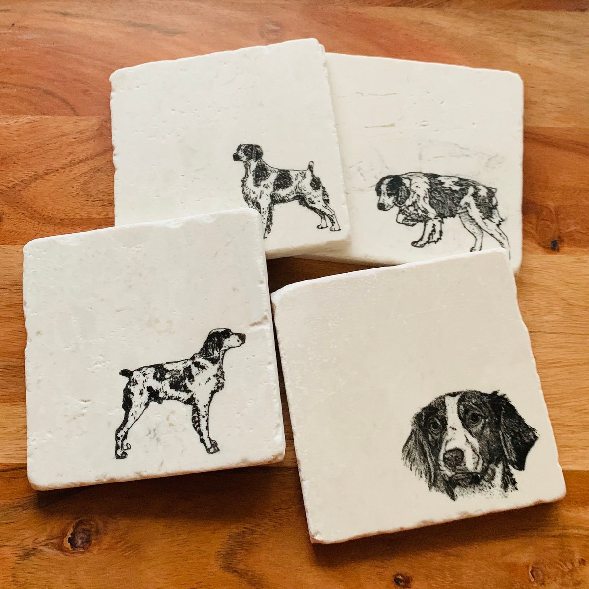 Brittany Spaniel Coasters ~ Dog Coasters ~ Stone Coasters