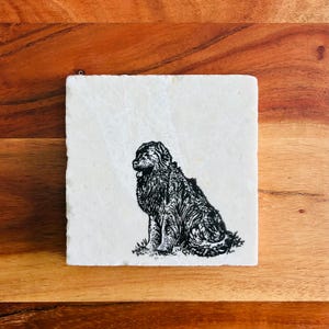 Newfoundland Coasters ~ Newfie Dog Mom Gifts ~ Newfoundland Gifts ~ Marble Coaster ~ Housewarming Gift ~ Pet Coasters