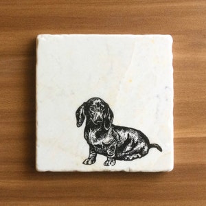 Pu&ograve; includere: Sottobicchiere in marmo bianco con un'illustrazione in bianco e nero di un bassotto.