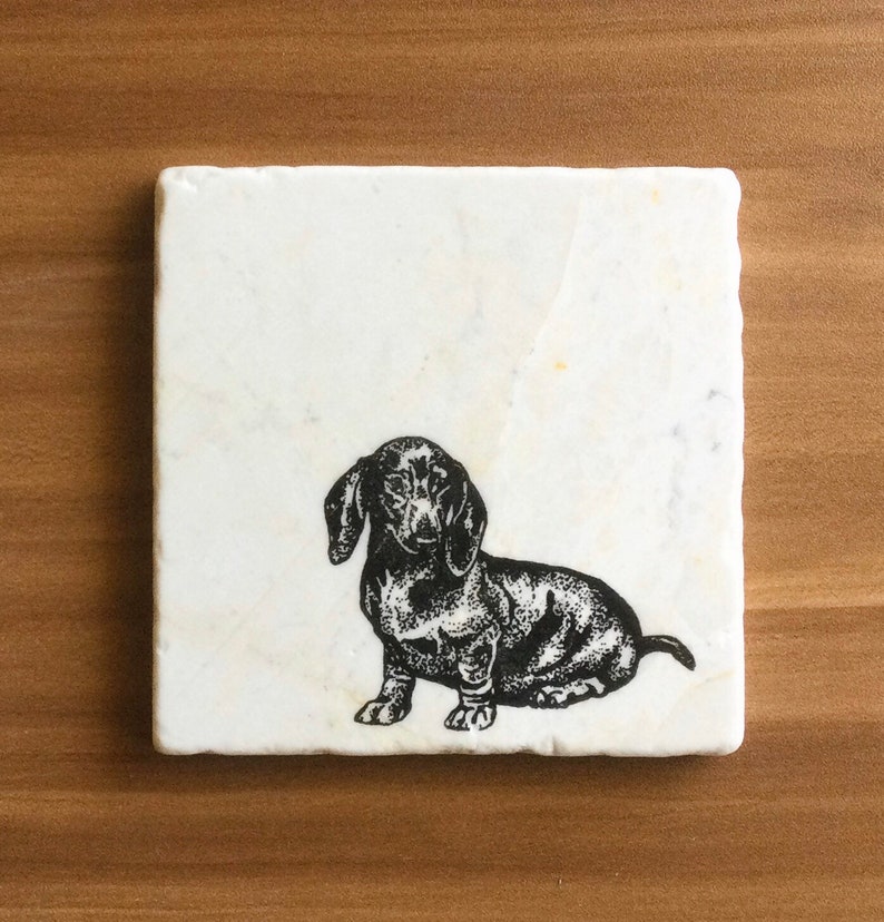 Pu&ograve; includere: Sottobicchiere in marmo bianco con un'illustrazione in bianco e nero di un bassotto.