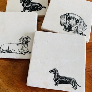 Pu&ograve; includere: Quattro sottobicchieri quadrati bianchi con illustrazioni in bianco e nero di Dachshund. I sottobicchieri sono in marmo e hanno una superficie liscia e lucida.