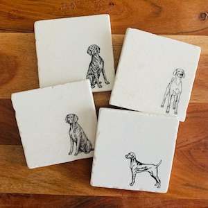 Vizsla Coasters ~ Vizsla Gift ~ Marble Coasters  ~ Vizsla Dog Mom ~ Housewarming Gift ~ Dog Coasters ~ Handmade Gift ~ Vizslas