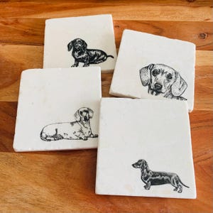 Pu&ograve; includere: Quattro sottobicchieri quadrati bianchi con illustrazioni in bianco e nero di Dachshund. Ogni sottobicchiere presenta una posa diversa del cane.