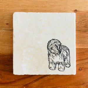 May include: A white square coaster with a black line drawing of a fluffy dog on it.